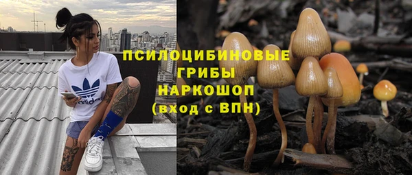 прущая мука Алексин