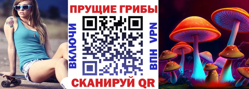 Галлюциногенные грибы Psilocybine cubensis  Арсеньев 