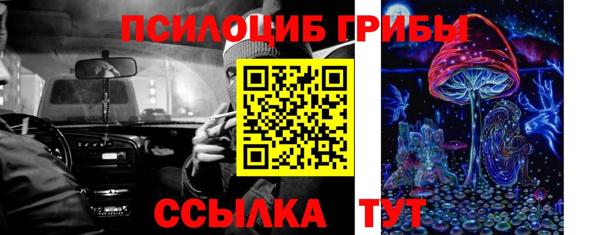 Псилоцибиновые грибы прущие грибы Арсеньев