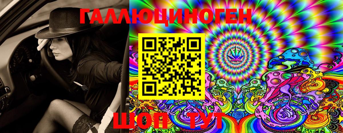 Галлюциногенные грибы GOLDEN TEACHER  Вход с VPN  Псилоцибиновые грибы Psilocybine cubensis  продажа наркотиков  Арсеньев 
